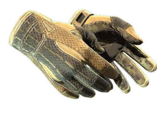 Sport Gloves | Arid