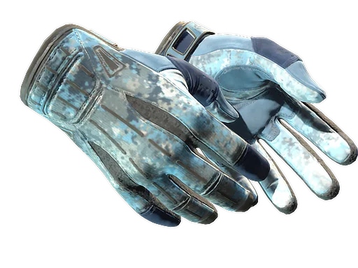 Sport Gloves | Frosty