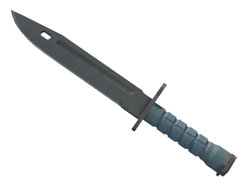 Bayonet | Night (Field-Tested)
