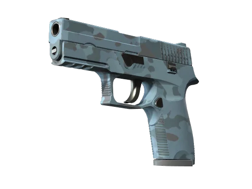 P250 | Forest Night