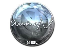 aumaN (Foil) | Katowice 2019