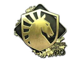 Team Liquid (Gold) | Rio 2022
