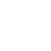 Content Creator