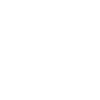 Insilio